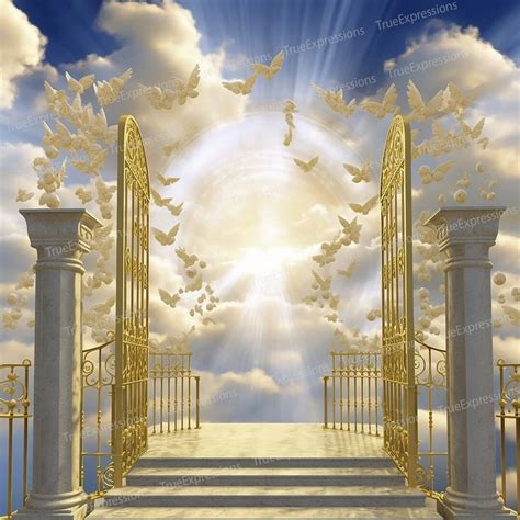 an open gate leading to the sky with white doves flying over it and clouds in the background