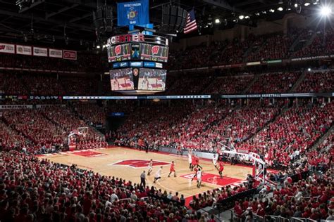 Badgers Men's Basketball: A Force Not to Be Underestimated | Her Campus