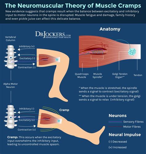 Nighttime Leg Cramps: Causes and Solutions | Nighttime leg cramps, Leg cramps at night, Leg cramps