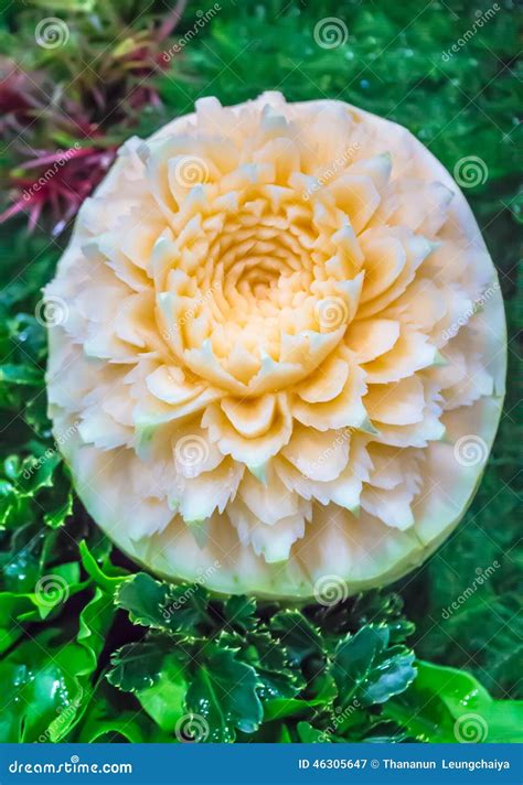 Cantaloupe Fruit Carving in the Garden. Stock Image - Image of ...