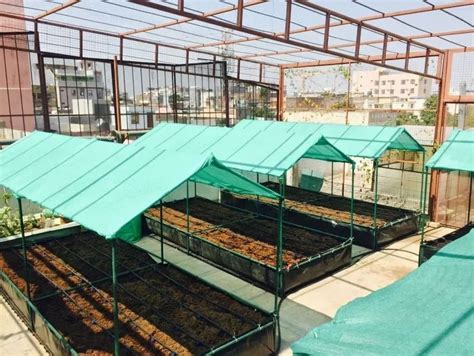 Rooftop Farming, Rooftop Organic Farming in India