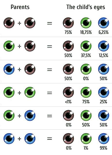 8 best eye color chart genetics images in 2020 eye color chart eye - baby eye color calculator ...