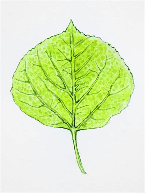 Aspen Leaf - Green Painting by Aaron Spong | Fine Art America