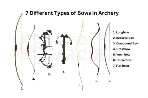 Types of Bows in Archery: Which One Suits You?