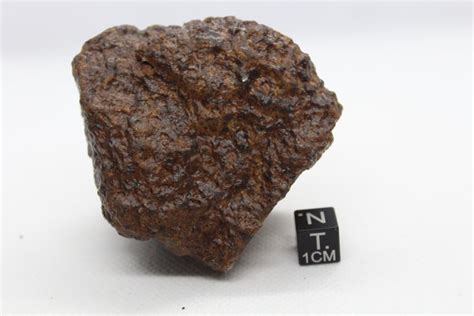 OFFICIALLY CLASSIFIED Chondrite Meteorite - 225 g - Catawiki