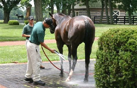 Kentucky Derby Tours