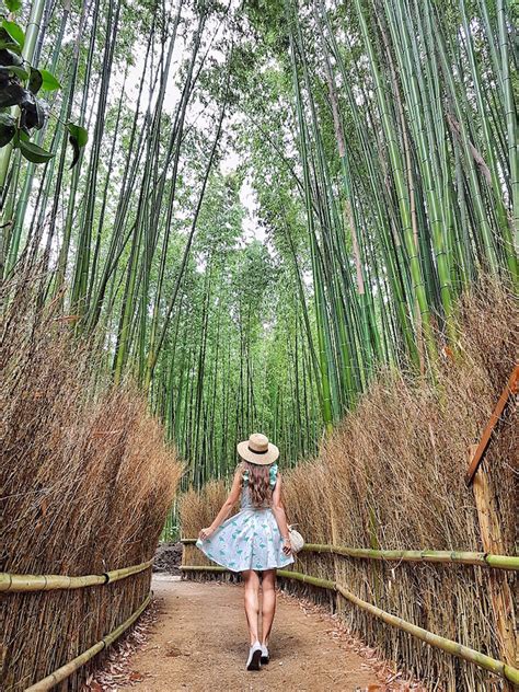 Arashiyama Bamboo forest Japan how to see in Kyoto travels