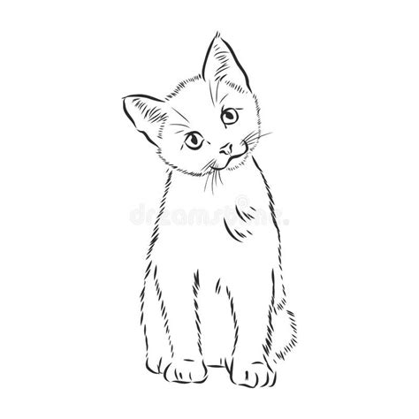 Realistic Kitten Drawings