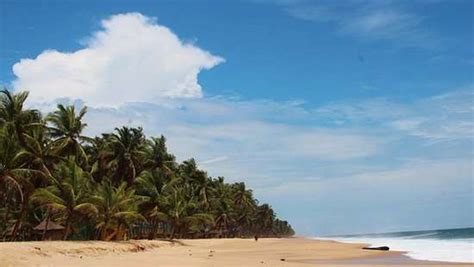 Tarkwa Bay Beach: An island of freedom and peace - Pulse Nigeria