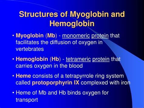 [DIAGRAM] Structure Of Myoglobin Diagram - MYDIAGRAM.ONLINE