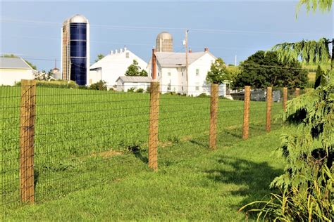 Horse Fencing | Wire Mesh Fencing | Narvon, PA