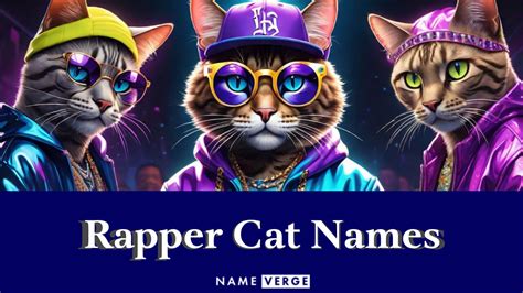 Rapper Cat Names: 333+ Dope Hip Hop-Inspired Name Ideas