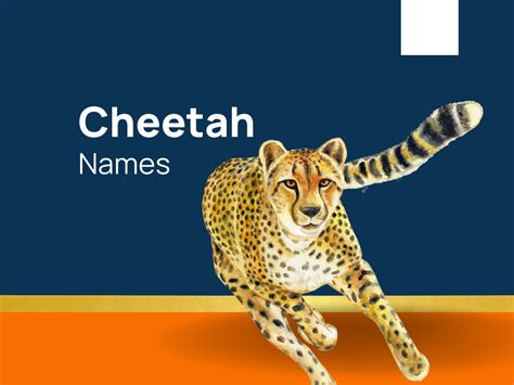 1200+ Cool Cheetah Names to Ignite Your Wild Side! (+generator)