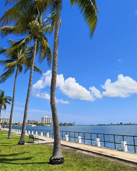 Miami Shores Village Bayfront Park. 📷 Photo © 2019 @alexcaberta for Vamos a Miami. ♥️ MIAMI, FL ...