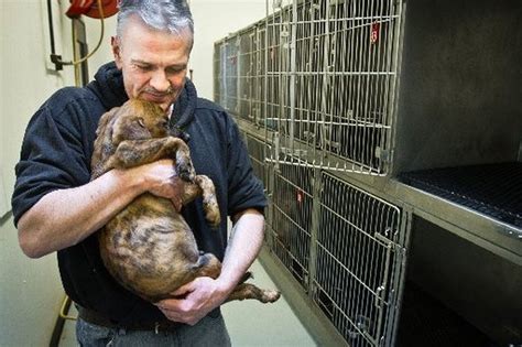 Bay County Animal Shelter hires newest employee during his stay in the ...