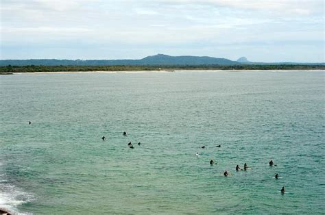 Photo of Group of surfers off the beach at Noosa | Free australian ...