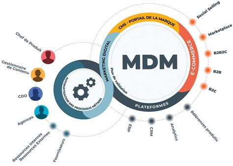 Qu'est-ce que le Master Data Management (MDM) ? - Galilée Intégration & Services