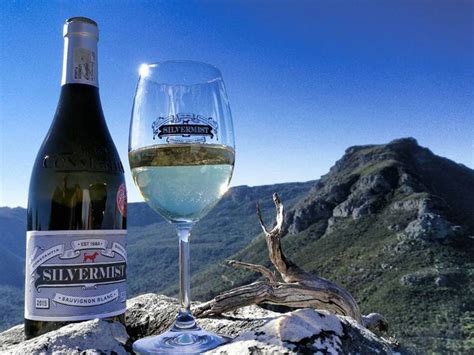 6 Undiscovered Wine Farms in Cape Town and Beyond | Travelstart.co.za