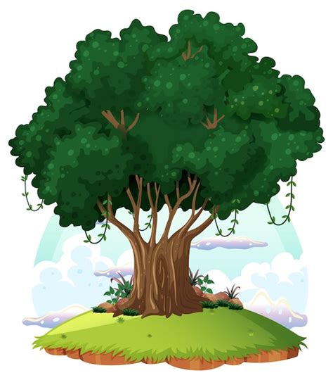 Big Tree Cartoon