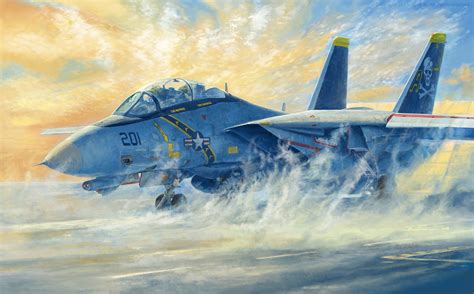 ArtStation - F-14A Tomcat "VF-84 Jolly Rogers"