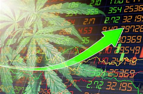 Special Cannabis Stock Report Fall 2021: ALID, NXGWF / NGW & TOBAF / TAAT Poised to Win in Ripe ...