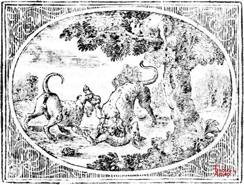 The Fox and The Cat - Fables of Aesop