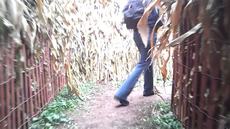 Corn maze at Merrymead Farm - YouTube