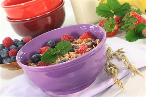 Fruit Muesli stock photo. Image of cereal, strawberry - 19183522