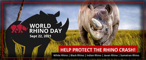 World Rhino Day 2021 | RHINOFIT | Gym Management Software for Health Clubs and Studios