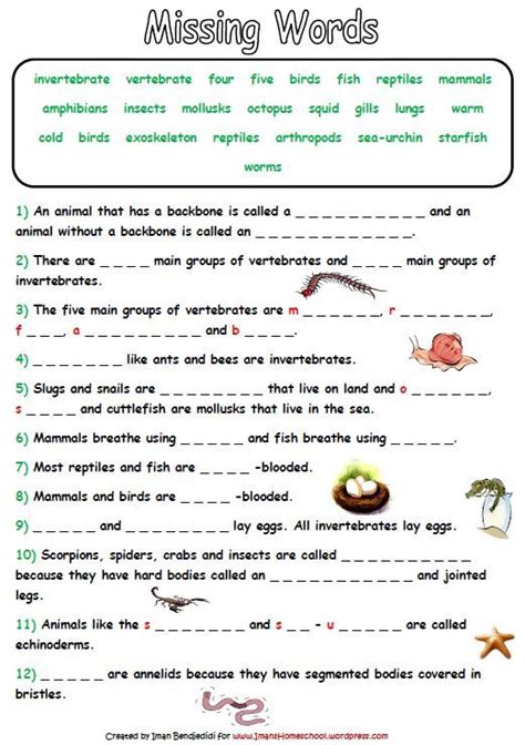 Classifying Invertebrates Worksheets | Animal classification worksheet, Animal classification ...