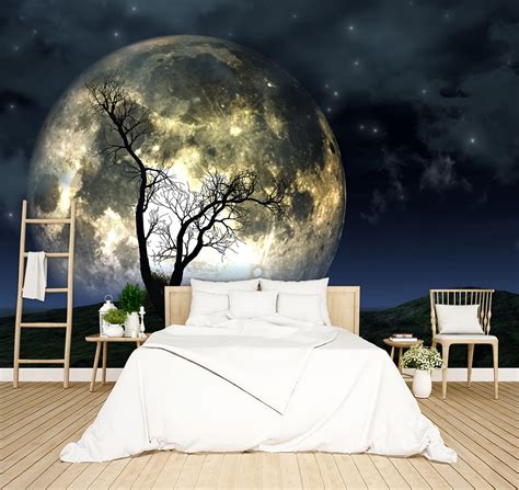 Full Moon Night Sky Hd