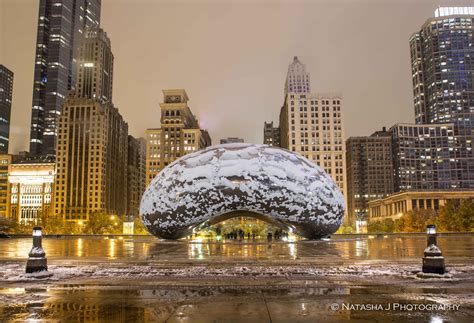 First snow in Chicago!!! Our Bean looks like Amanita today | Chicago snow, Chicago illinois ...