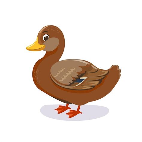 Premium Vector | Vector illustration of a female mallard duck isolated on a white background ...