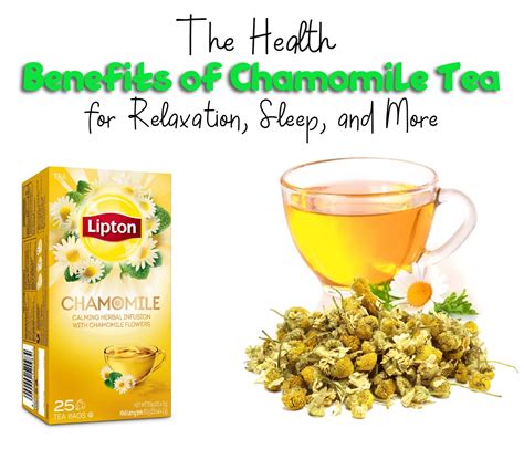 The Amazing Benefits of Chamomile Tea