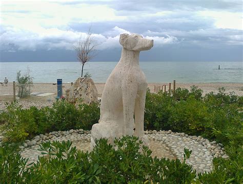 Grottammare, spiaggia per cani: la guida completa | Viaggiamo