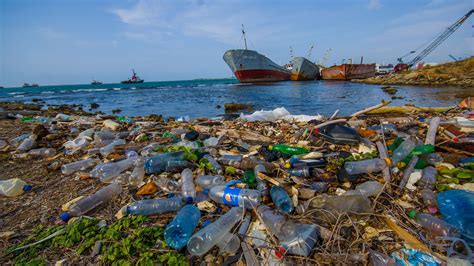 More plastic rubbish than fish in the ocean by 2050, report warns