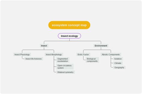 Ecosystem Concept Map Template | EdrawMind