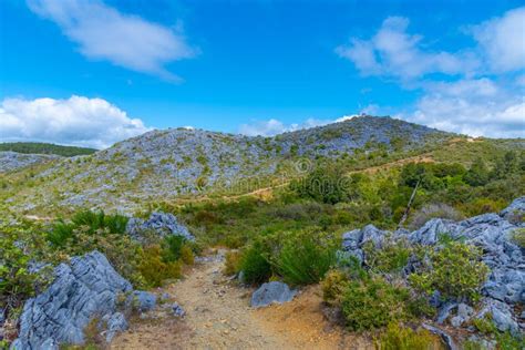 Panorama of New Zealand from Takaka Hill Stock Photo - Image of summer, panorama: 204921424