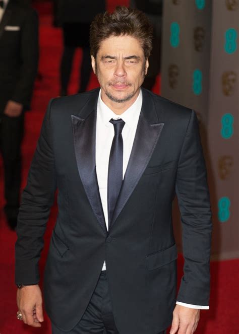 Benicio Del Toro Picture 77 - EE British Academy Film Awards 2016 - Arrivals