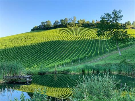 Top Austrian wine regions to visit in 2023 | Winetourism.com