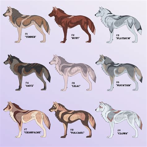 The Gamma Wolf: Understanding Its Role in Wolf Pack Hierarchy - howlinganswers.com