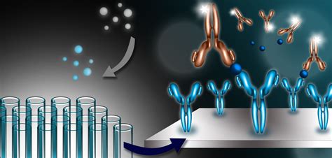 Parallelism experiments to evaluate matrix effects, selectivity and ...