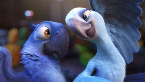 The Real-Life Parrot That Inspired Rio Films Dies