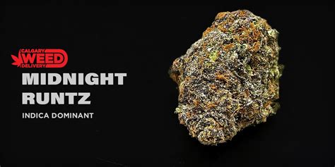 Buy Midnight Runtz Online In Calgary - Calgary Weed Delivery