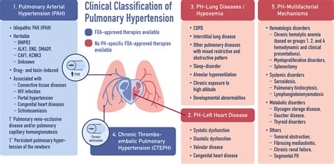 Pulmonary Hypertension