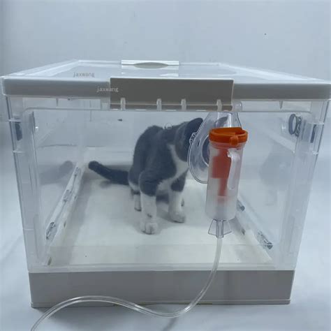 Pet Shop Training Treatment Products | Oxygen Cage Pet Oxygen Cage | Oxygen Box Dogs - Pet Care ...