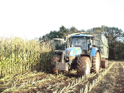 Somerset Farming - Nicholas's Photography