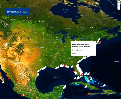 Shark Interactive Map: Species, Attack, & Location : r/Maps