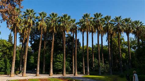 Athens Botanical Gardens