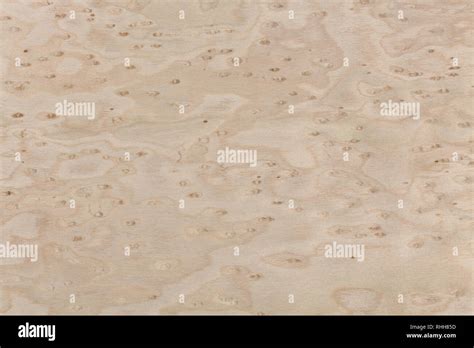 Maple wood, natural grain texture for your unique project Stock Photo - Alamy